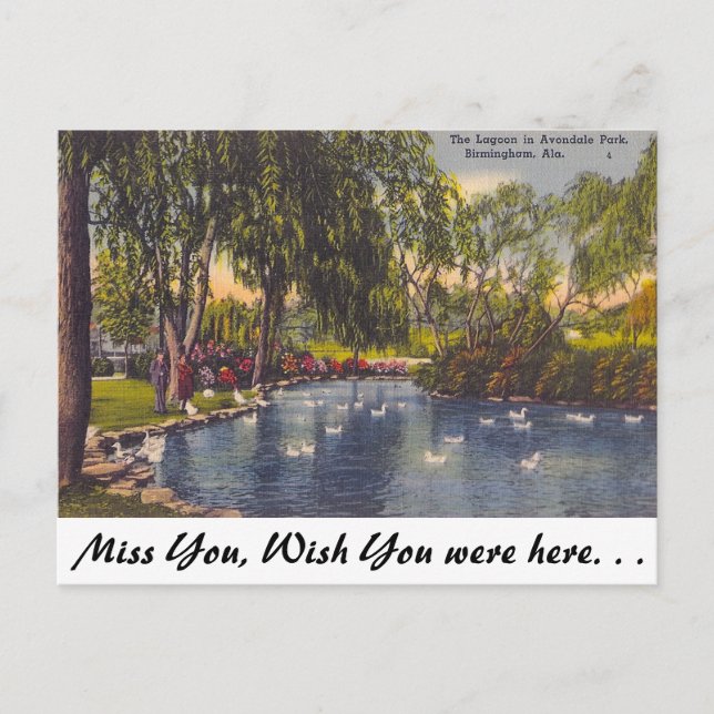 Cartão Postal Avondale Park, Birmingham, AL (Frente)
