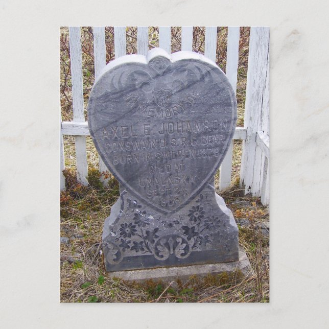 Cartão Postal Axel E. Johanson, U. S. R. C. Urso (Frente)