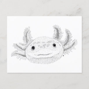 Cartão Postal Axolotl