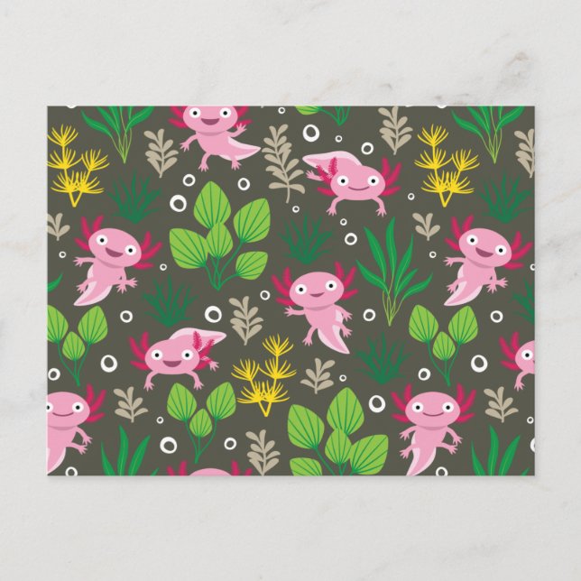 Cartão postal Axolotl (Frente)