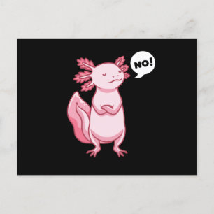 Cartão Postal Axolotl Com Animais Enchidos Ao Estilo Kawaii