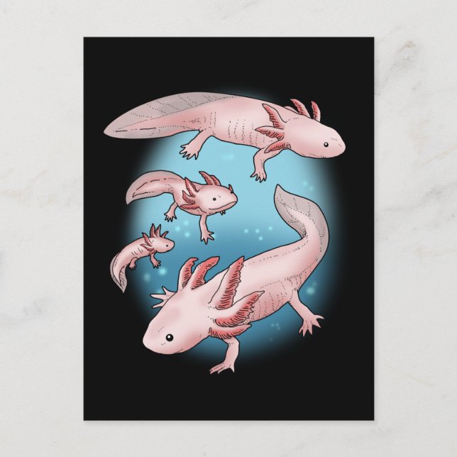 Cartão Postal Axolotl Gift Kawaii Axolotl Oferece Homens Axolotl (Frente)