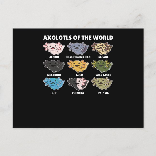 Cartão Postal Axolotls Do Axolotl Para Animais Doces Do Mundo (Frente)