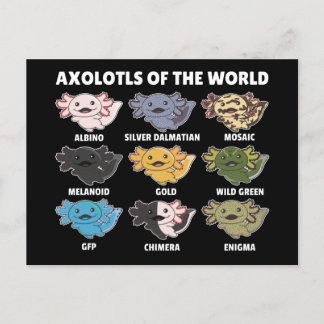 Cartão Postal Axolotls Do Posto Axolotl Para Animais Doentes Do
