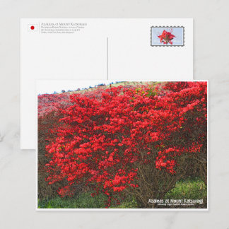 Cartão Postal Azaleas at Mount Katsuragi ポストカード