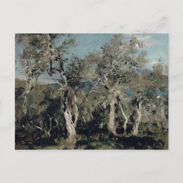 Cartão Postal Azeitonas, Corfu, 1912 (Frente)