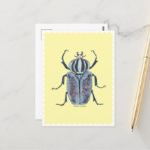 Azul - Beetle Watercolor