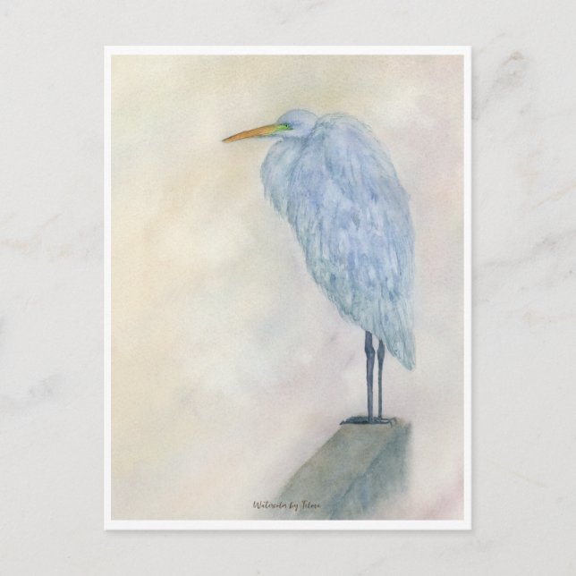 Cartão Postal Azul Egret Watercolor (Frente)
