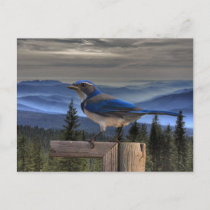 CARTÃO POSTAL AZUL EM AZUL