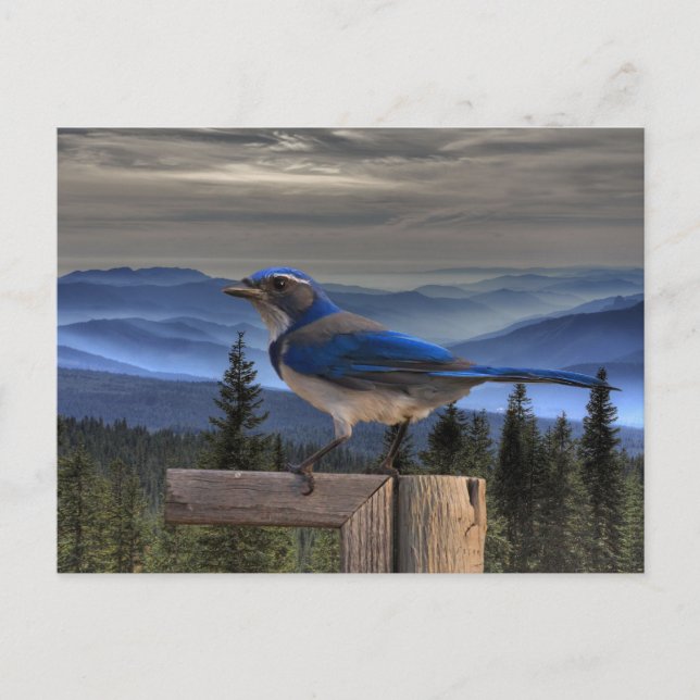 CARTÃO POSTAL AZUL EM AZUL (Frente)