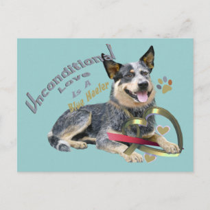 Cartão Postal Azul Heeler Amor Incondicional