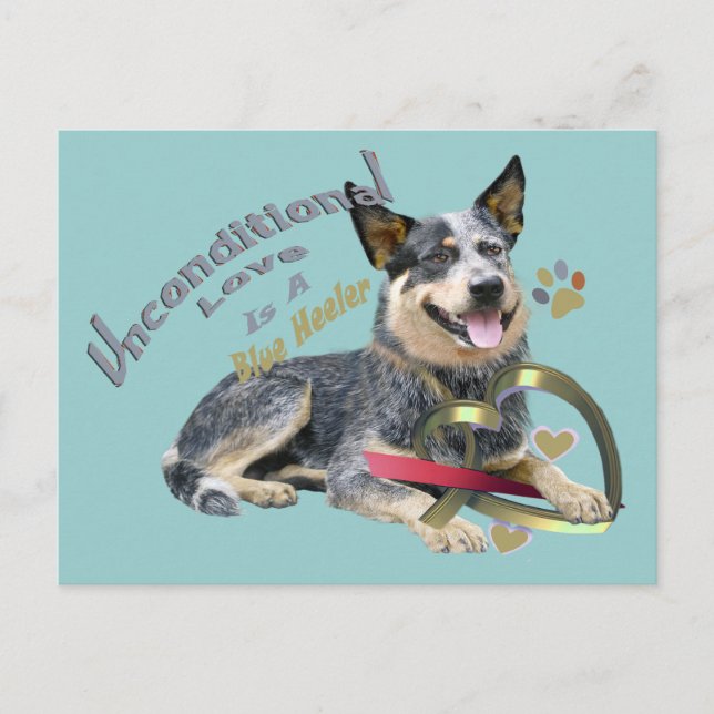 Cartão Postal Azul Heeler Amor Incondicional (Frente)
