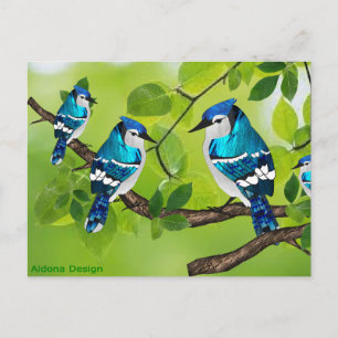 Cartão Postal Azul jays em um galho