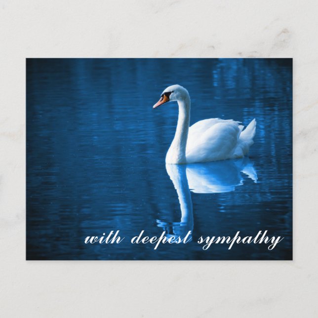 Cartão Postal Azul Sentimental Águas Calmas Cisne Simpatia (Frente)