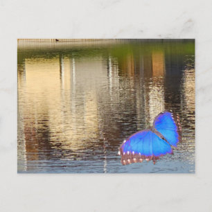 Cartão Postal Azul Sobre Água Tranquila