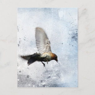 Cartão Postal Azulão Grunge