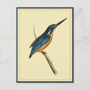 Cartão Postal Azure Kingfisher