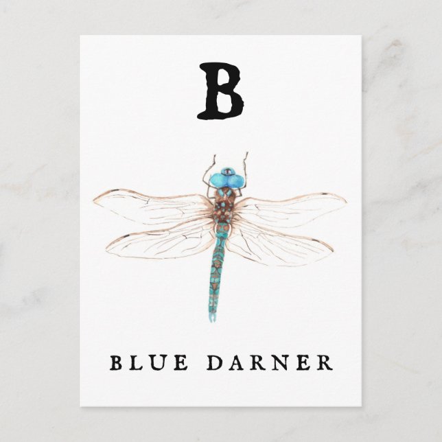 Cartão Postal "B" Blue Darner (Frente)