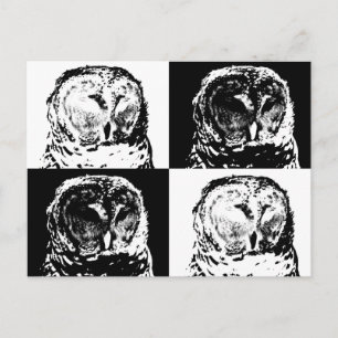 Cartão Postal B/W Barred Owl Pop Art