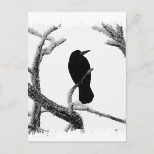 Cartão Postal B&W Winter Raven Edgar Allan Poe