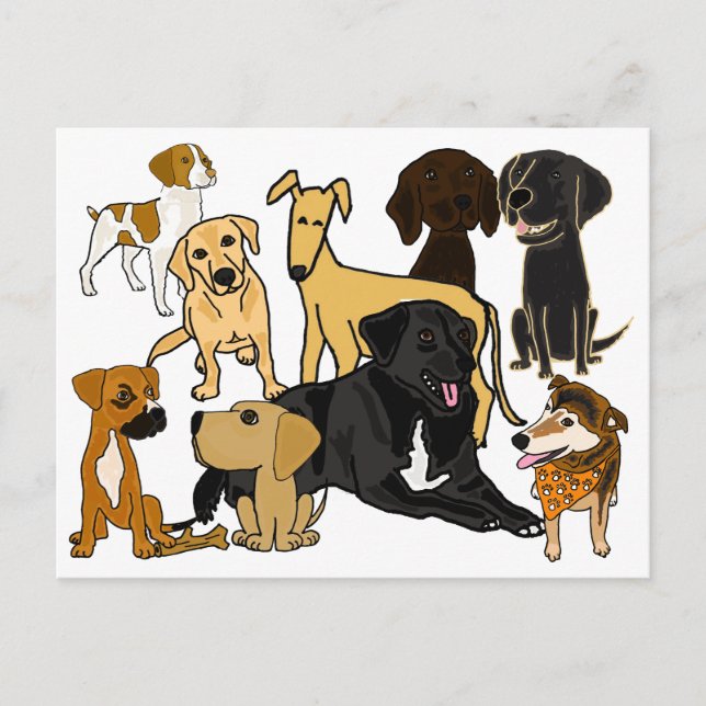 Cartão Postal BA- Cartão-postal dos cães fusíveis (Frente)