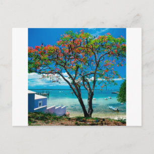 Cartão Postal Baamas de Escape Tropical de Ilhas Tropicais
