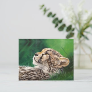 Cartão Postal Baby Cheetah postcard
