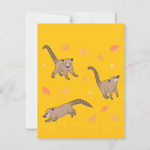 Cartão Postal Baby Coatis