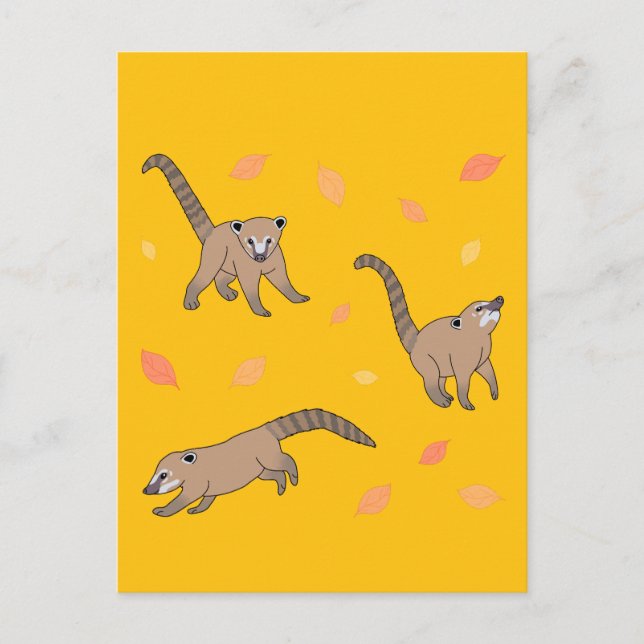 Cartão Postal Baby Coatis (Frente)
