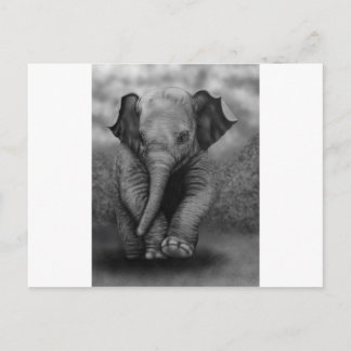 Cartão Postal Baby Elephant