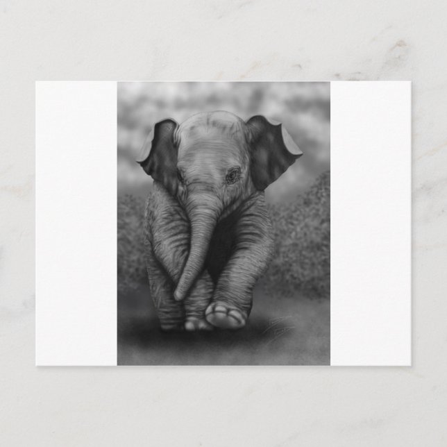 Cartão Postal Baby Elephant (Frente)