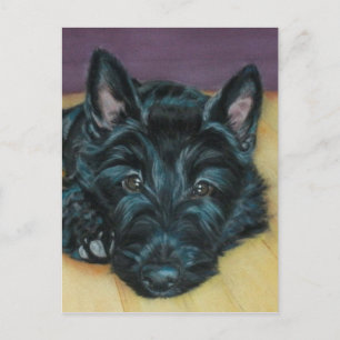 Cartão Postal 'Baby Em' - Scottie puppy