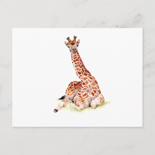 Cartão Postal Baby Giraffe (Frente)