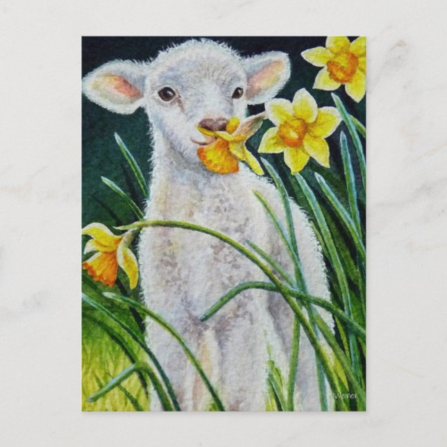 Cartão Postal Baby Lamb e Primavera Daffodils Posto de Arte por  (Frente)
