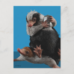 Cartão Postal Baby Nifflers Encontram um Prêmio