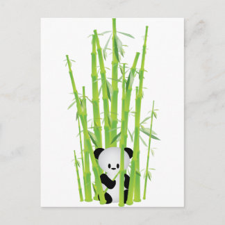 Cartão Postal Baby Panda in Bamboo Forest