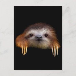 Cartão Postal Baby Sloth