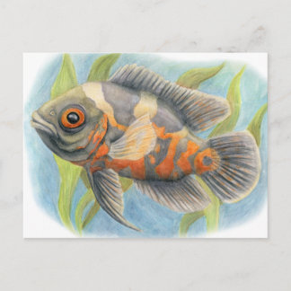 Cartão Postal Baby Tiger Oscar