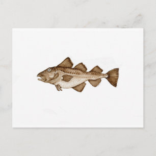 Cartão Postal Bacalhau 1 marrom286,jpg
