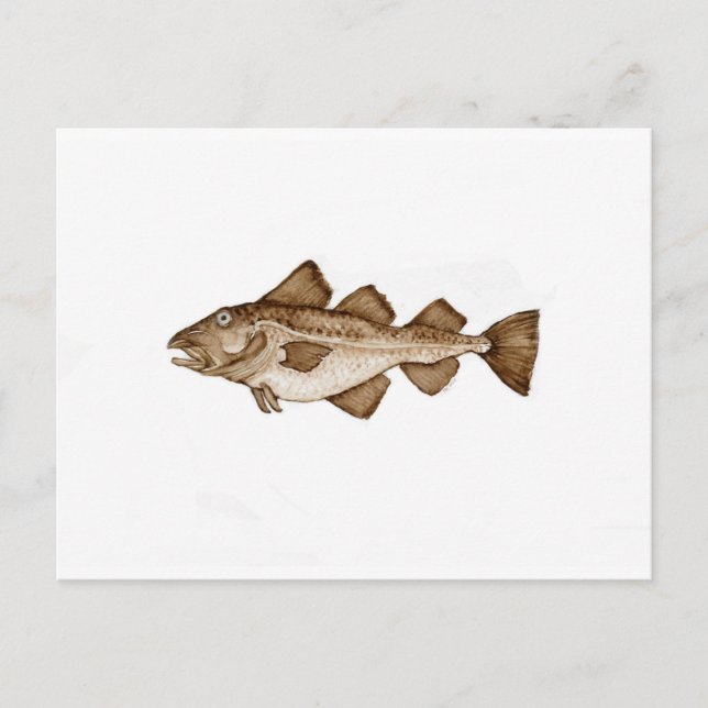 Cartão Postal Bacalhau 1 marrom286,jpg (Frente)