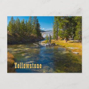 Cartão Postal Bacia do Alto Geyser, Rio Firehole, Yellowstone