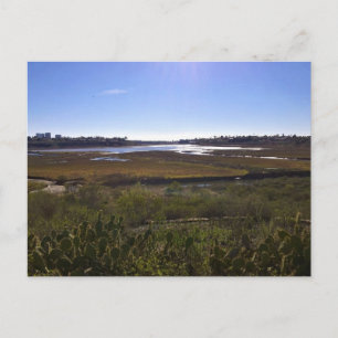 Cartão Postal Back Bay, Newport Beach, Califórnia