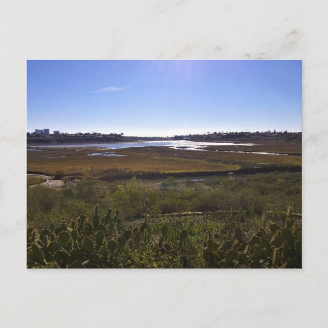 Cartão Postal Back Bay, Newport Beach, Califórnia (Frente)