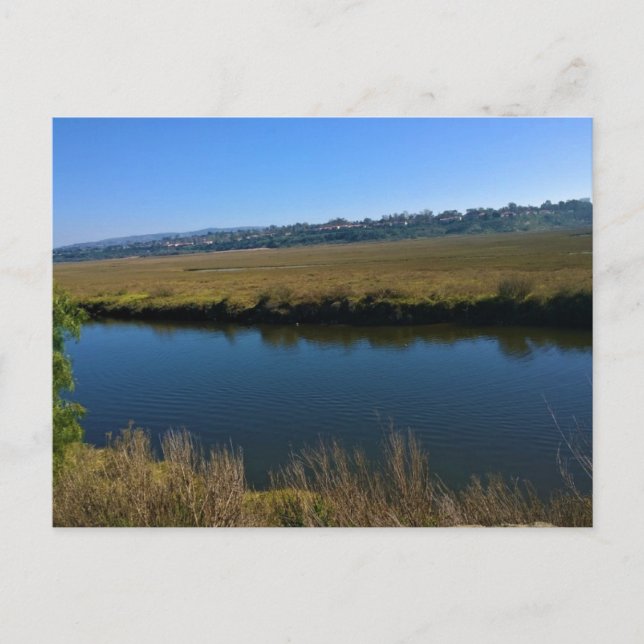 Cartão Postal Back Bay, Newport Beach, Califórnia (Frente)