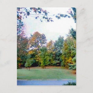 Cartão Postal Back Yard