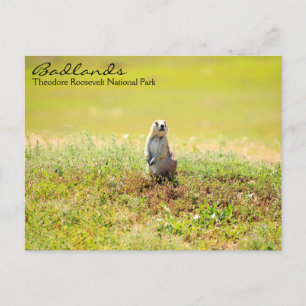 Cartão Postal Badlands of North Dakota Postcard