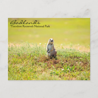 Cartão Postal Badlands of North Dakota Postcard