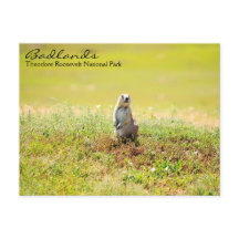 Badlands of North Dakota Postcard