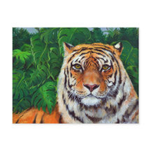 Bagheera — Cartão-postal do Tigre de Pintura