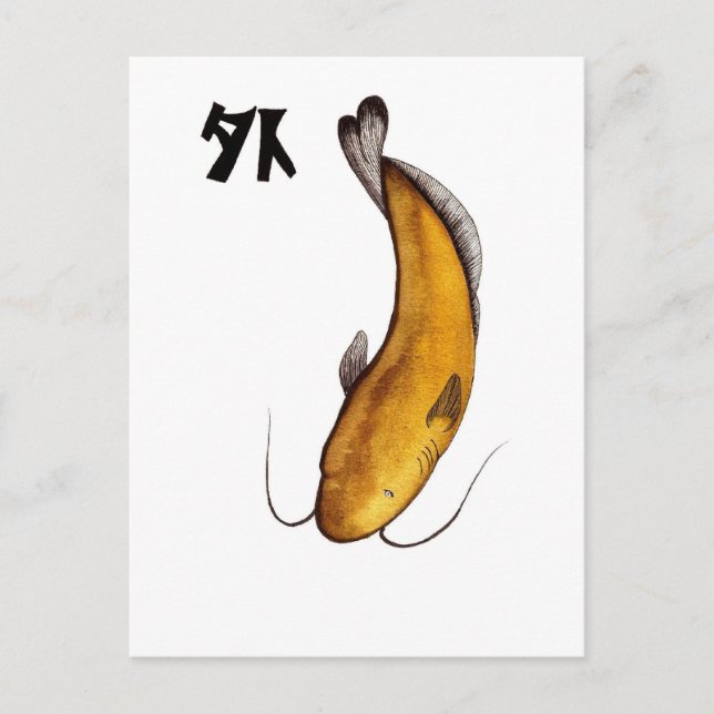 Cartão Postal bagre Void (Frente)